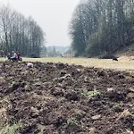 Male Labe - Klidne V Krkonosich S Terasou Prosecne