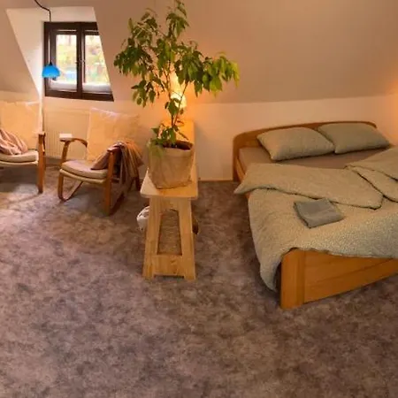 Apartment Male Labe - V Podkrovi Prosecne