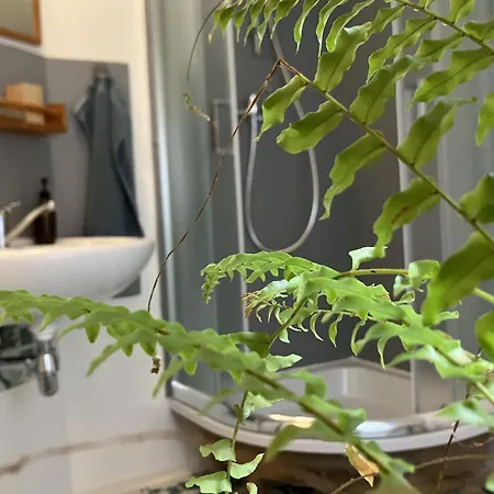 Malé Labe - V Podkroví Apartmán *