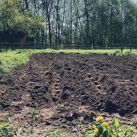 Malé Labe - V Podkroví Apartmán *