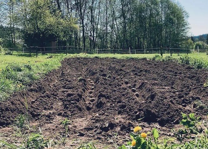 Malé Labe - V Podkroví Apartmán *